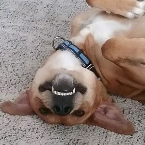 Meet your Posher, Ashleigh